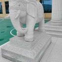 铁岭 白麻花岗岩动物异形石雕-大象