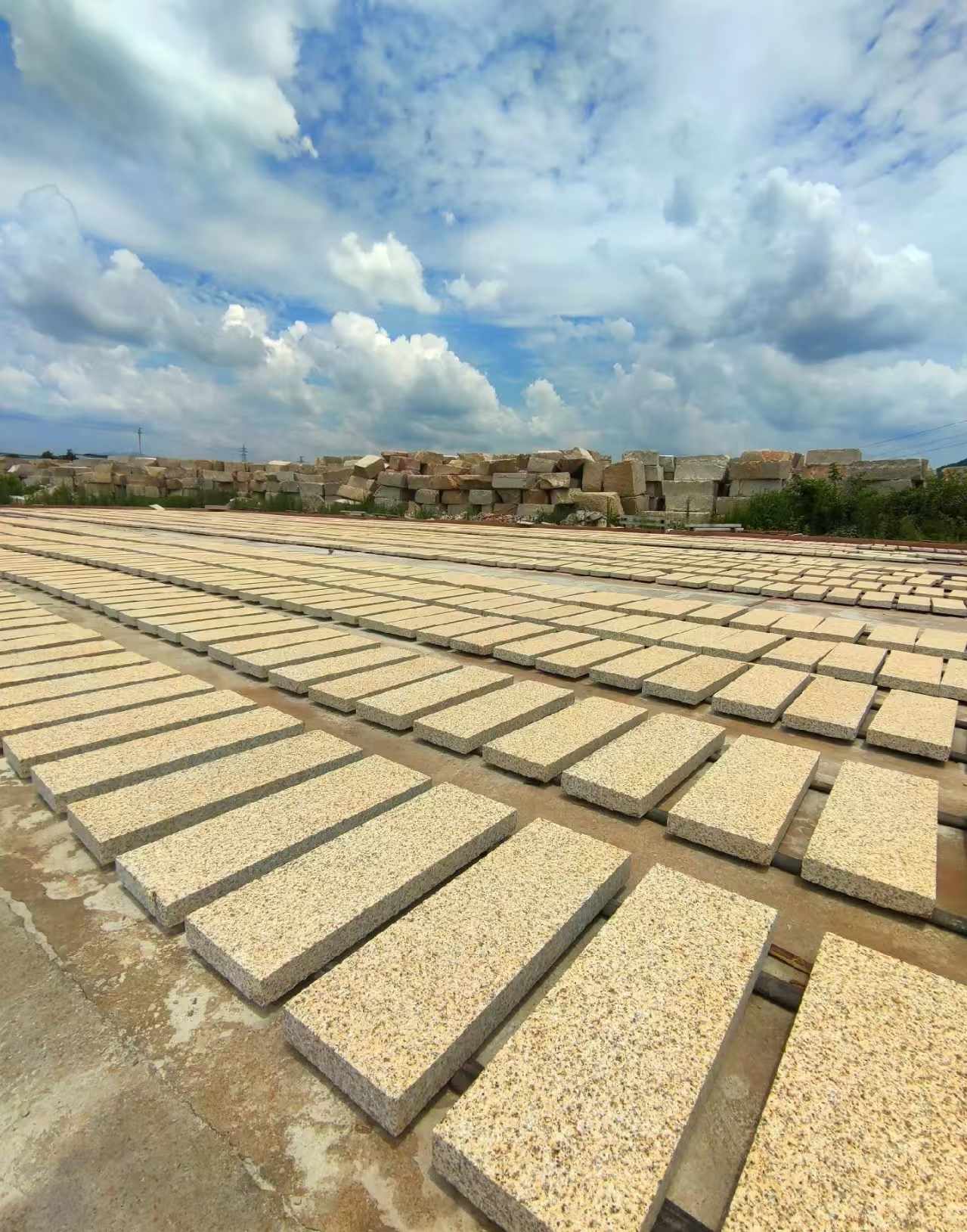 铁岭 黄金麻荔枝面花岗岩石材地铺石防护中
